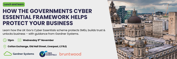 How the governments Cyber Essential framework helps protect your business