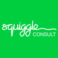Squiggle Consult Ltd